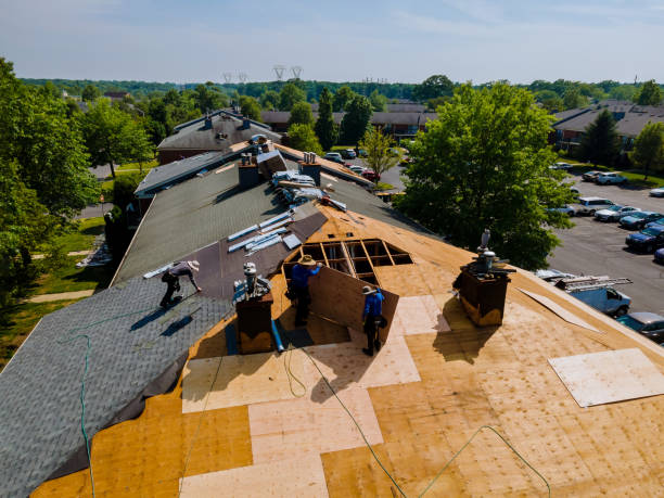 Trusted Roof Replacement service in Delia, KS - Brentwood Metal Roofing